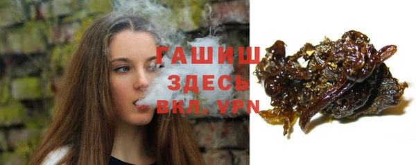 стафф Арсеньев