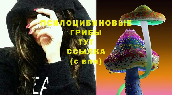 дживик Алзамай