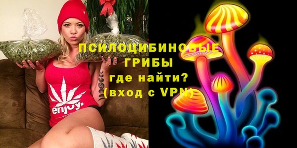стафф Арсеньев