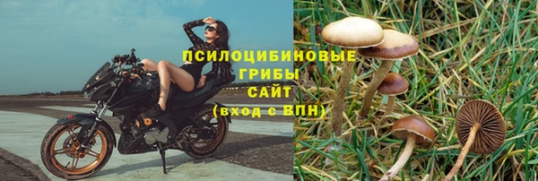 дживик Алзамай