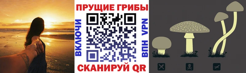 Псилоцибиновые грибы мухоморы  Ликино-Дулёво 